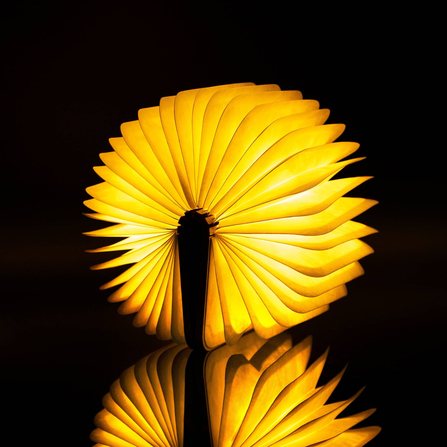 Lampe-livre design en bois / Taille : petite