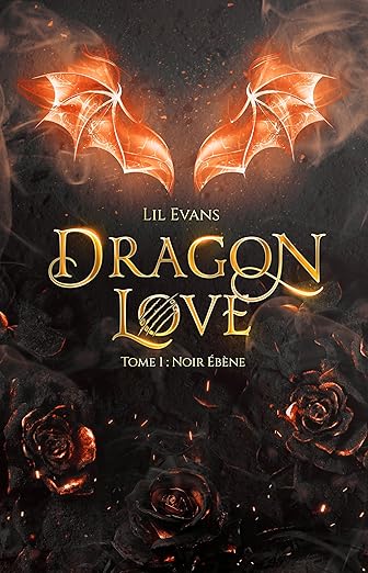 Dragon love Tome 1 : noir ébène