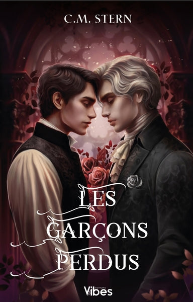 Les garçons perdus T2