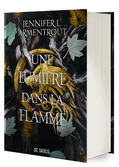 La Chair et le Feu - Tome 02 Une Lumière dans la flamme (relié collector)